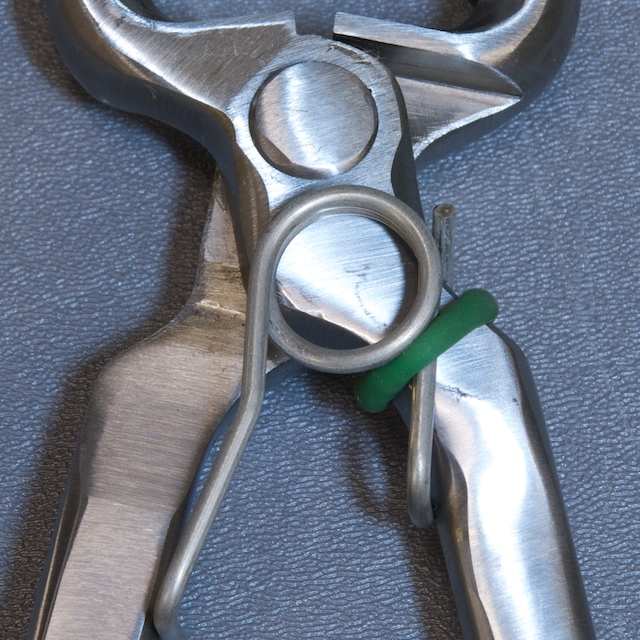 W-Brand Nipper Spring